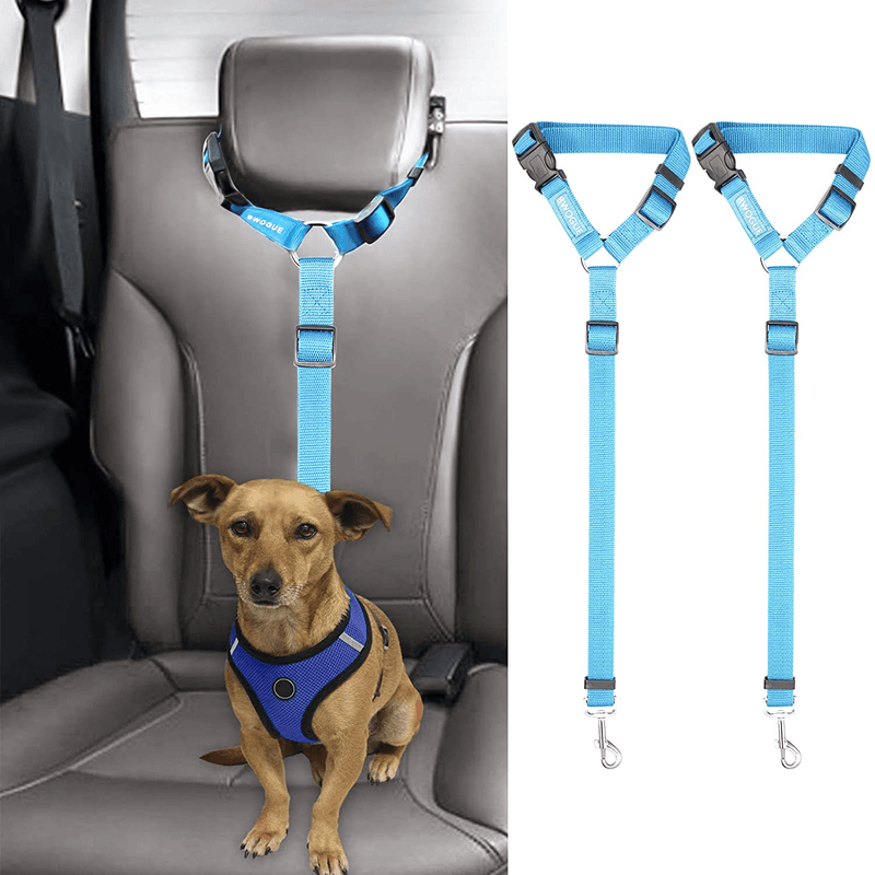 BWOGUE 2 Packs Dog Cat Safety Seat Belt Strap Car Headrest Restraint Adjustable Nylon Fabric Dog Restraints Vehicle Seatbelts Harness Animals & Pet Supplies > Pet Supplies > Dog Supplies BWOGUE Blue  