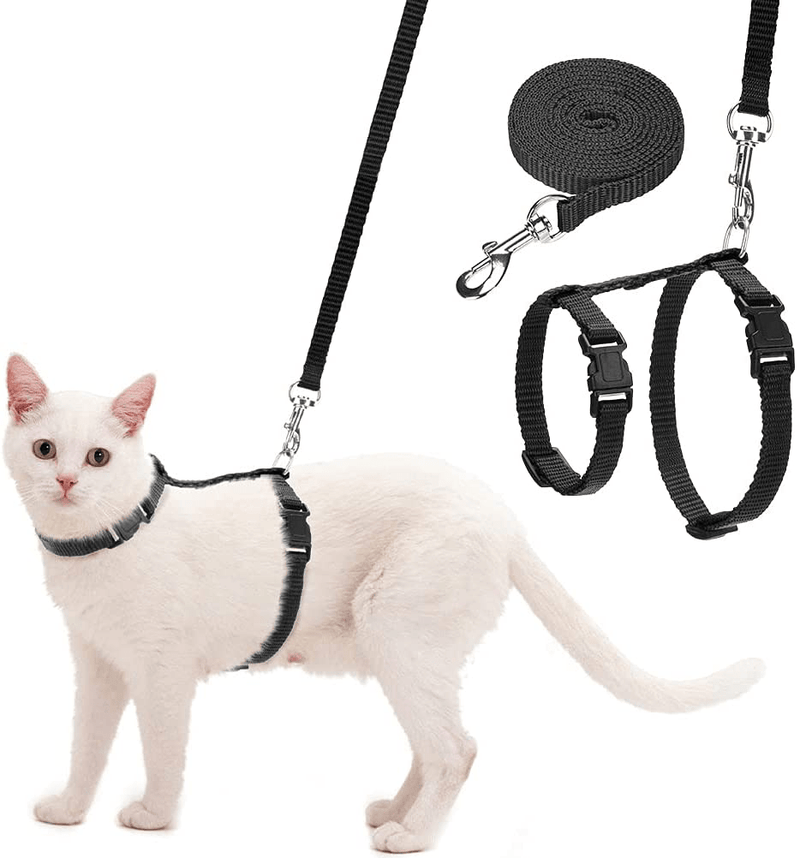 Cat Harness and Leash Set - Escape Proof H Shaped Harness with Leash, Adjustable Lightweight Safe Harness for Cats Outdoor Walking Animals & Pet Supplies > Pet Supplies > Cat Supplies > Cat Apparel Mihachi Black  