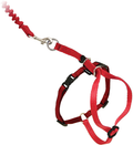 PetSafe Come With Me Kitty Harness and Bungee Leash, Harness for Cats Animals & Pet Supplies > Pet Supplies > Cat Supplies > Cat Apparel PetSafe RED/CRANBERRY Large (Pack of 1) 
