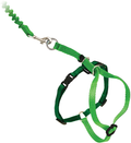 PetSafe Come With Me Kitty Harness and Bungee Leash, Harness for Cats Animals & Pet Supplies > Pet Supplies > Cat Supplies > Cat Apparel PetSafe ELECTRIC LIME/GREEN Medium (Pack of 1) 