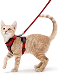 rabbitgoo Cat Harness and Leash for Walking, Escape Proof Soft Adjustable Vest Harnesses for Cats, Easy Control Breathable Jacket, Black, XS Animals & Pet Supplies > Pet Supplies > Cat Supplies > Cat Apparel GLOBEGOU CO.,LTD Red XS 