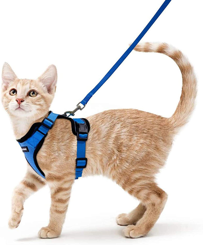 rabbitgoo Cat Harness and Leash for Walking, Escape Proof Soft Adjustable Vest Harnesses for Cats, Easy Control Breathable Jacket, Black, XS Animals & Pet Supplies > Pet Supplies > Cat Supplies > Cat Apparel GLOBEGOU CO.,LTD Navy Blue S 