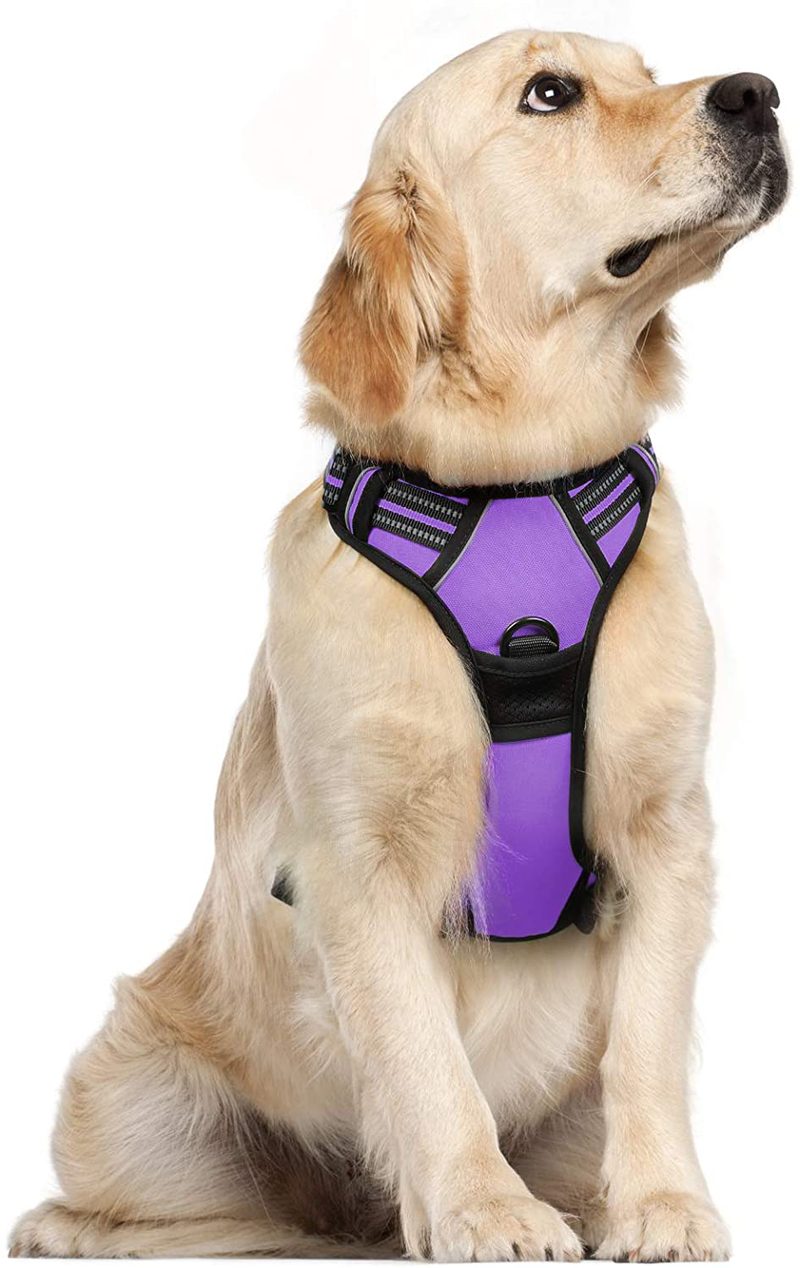 rabbitgoo Dog Harness, No-Pull Pet Harness with 2 Leash Clips, Adjustable Soft Padded Dog Vest, Reflective No-Choke Pet Oxford Vest with Easy Control Handle for Large Dogs, Black, XL  rabbitgoo Modern Violet X-Large 