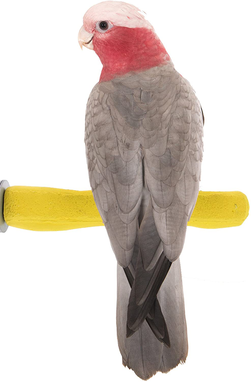 Sweet Feet and Beak Comfort Grip Safety Perch for Bird Cages - Patented Pumice Perch for Birds to Keep Nails and Beaks in Top Condition - Safe Easy to Install Bird Cage Accessories Animals & Pet Supplies > Pet Supplies > Bird Supplies Sweet Feet and Beak Yellow Medium 8.5" 
