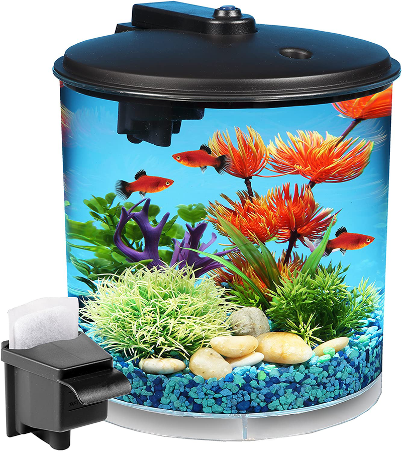 Koller Products AquaView 2-Gallon 360 Aquarium with Power Filter & LED Lighting Animals & Pet Supplies > Pet Supplies > Fish Supplies > Aquariums Tom (Tominaga/Oscar)   