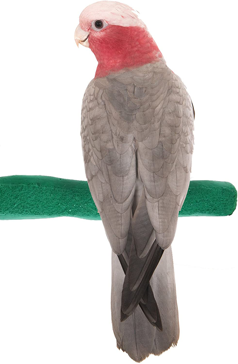 Sweet Feet and Beak Comfort Grip Safety Perch for Bird Cages - Patented Pumice Perch for Birds to Keep Nails and Beaks in Top Condition - Safe Easy to Install Bird Cage Accessories Animals & Pet Supplies > Pet Supplies > Bird Supplies Sweet Feet and Beak Green Medium 8.5" 