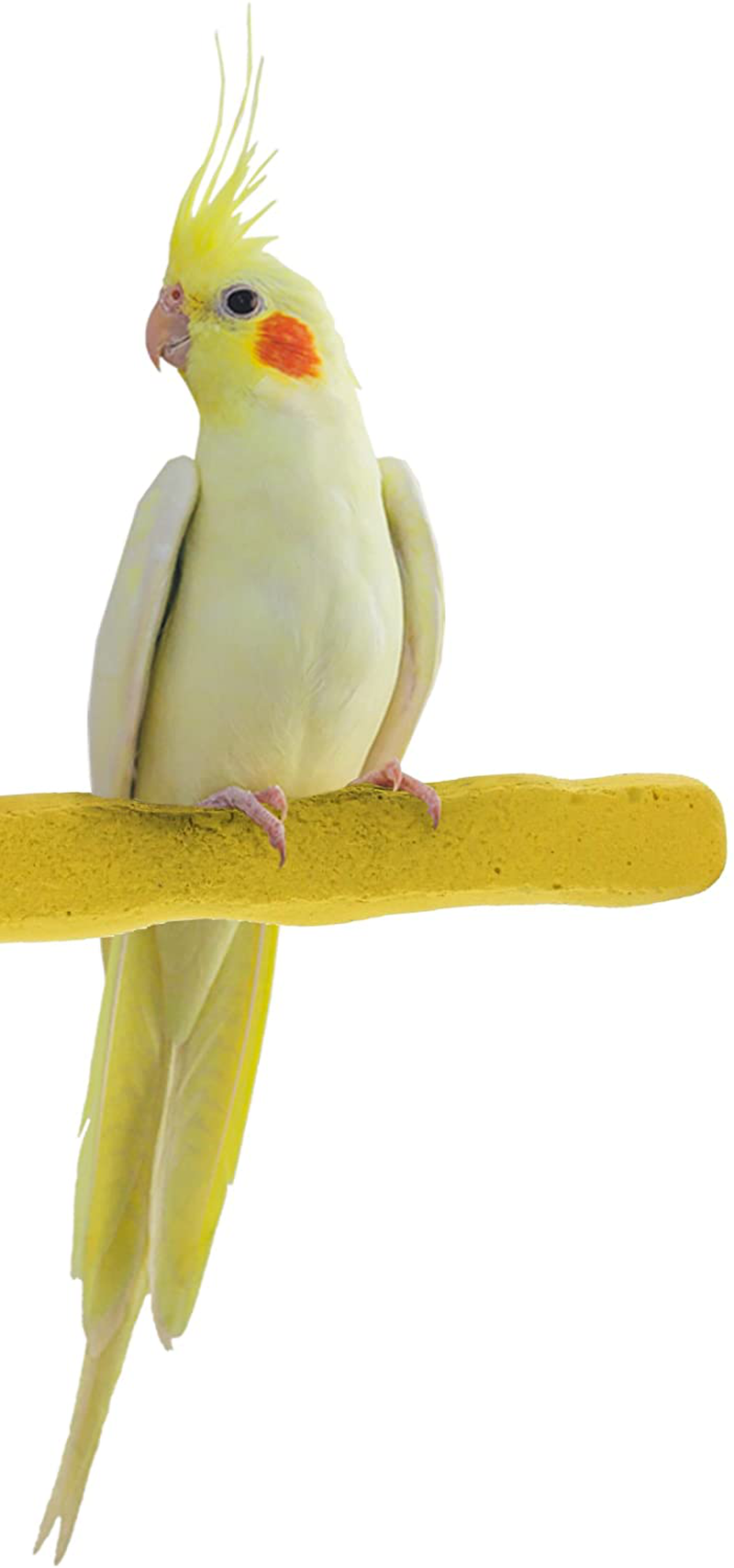 Sweet Feet and Beak Comfort Grip Safety Perch for Bird Cages - Patented Pumice Perch for Birds to Keep Nails and Beaks in Top Condition - Safe Easy to Install Bird Cage Accessories Animals & Pet Supplies > Pet Supplies > Bird Supplies Sweet Feet and Beak Yellow Small 6.5" 