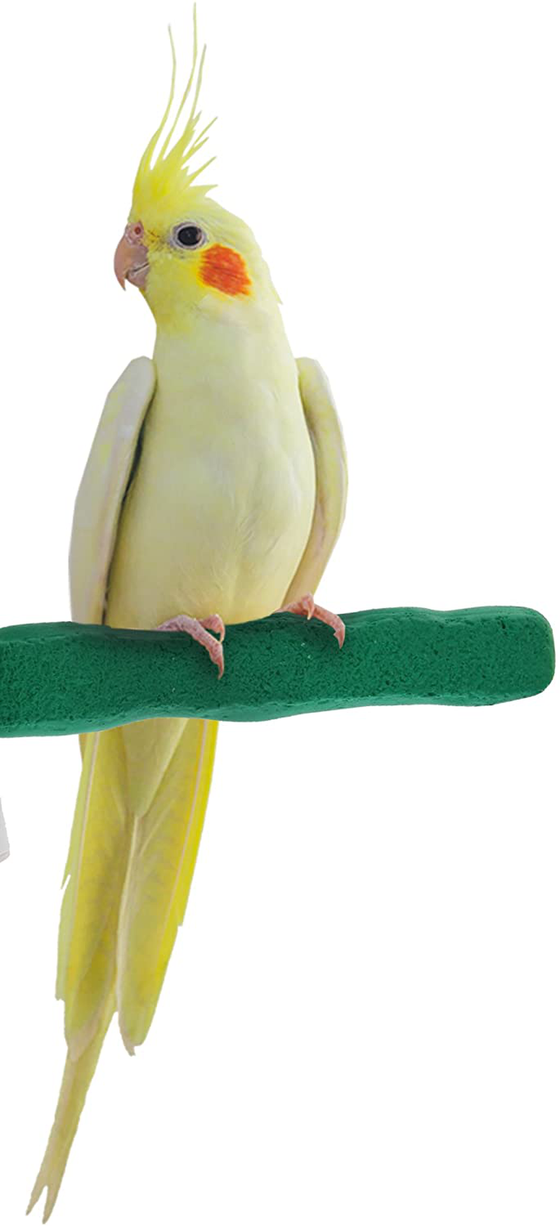 Sweet Feet and Beak Comfort Grip Safety Perch for Bird Cages - Patented Pumice Perch for Birds to Keep Nails and Beaks in Top Condition - Safe Easy to Install Bird Cage Accessories Animals & Pet Supplies > Pet Supplies > Bird Supplies Sweet Feet and Beak Green Small 6.5" 