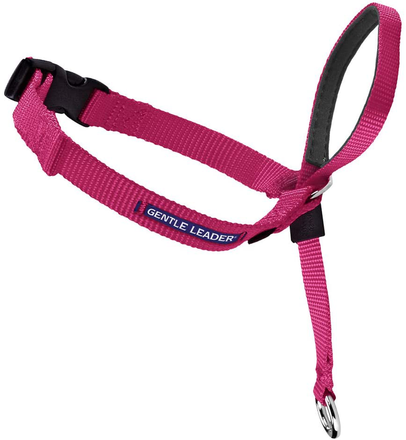 PetSafe Gentle Leader Headcollar, No-Pull Dog Collar – Perfect for Leash & Harness Training Animals & Pet Supplies > Pet Supplies > Dog Supplies PetSafe Raspberry Pink Medium 25-60 Lb. 