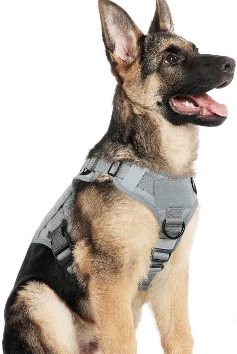 rabbitgoo Tactical Dog Harness for Large Dogs, Military Dog Harness with Handle, No-Pull Service Dog Vest with Molle & Loop Panels, Adjustable Dog Vest Harness for Training Hunting Walking, Tan, XL Animals & Pet Supplies > Pet Supplies > Dog Supplies GLOBEGOU CO.,LTD Grey Medium 