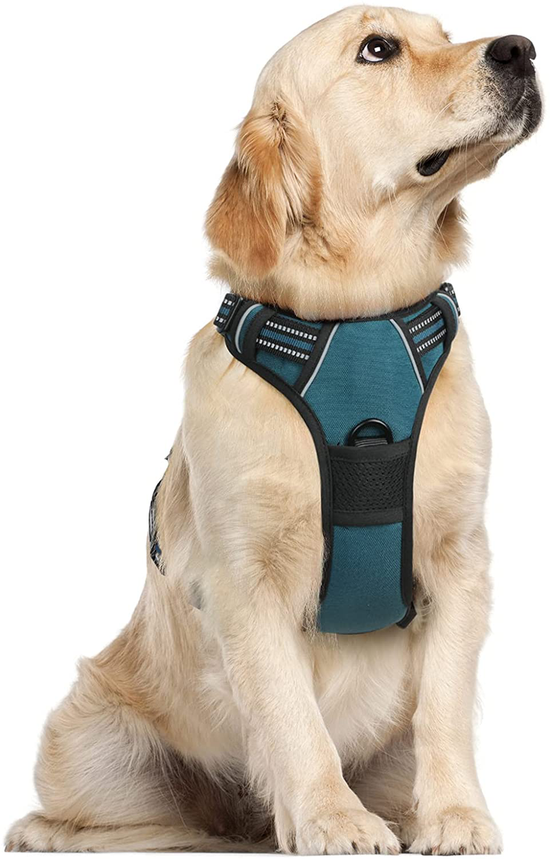 rabbitgoo Dog Harness, No-Pull Pet Harness with 2 Leash Clips, Adjustable Soft Padded Dog Vest, Reflective No-Choke Pet Oxford Vest with Easy Control Handle for Large Dogs, Black, XL  rabbitgoo Tranquil Teal Large 