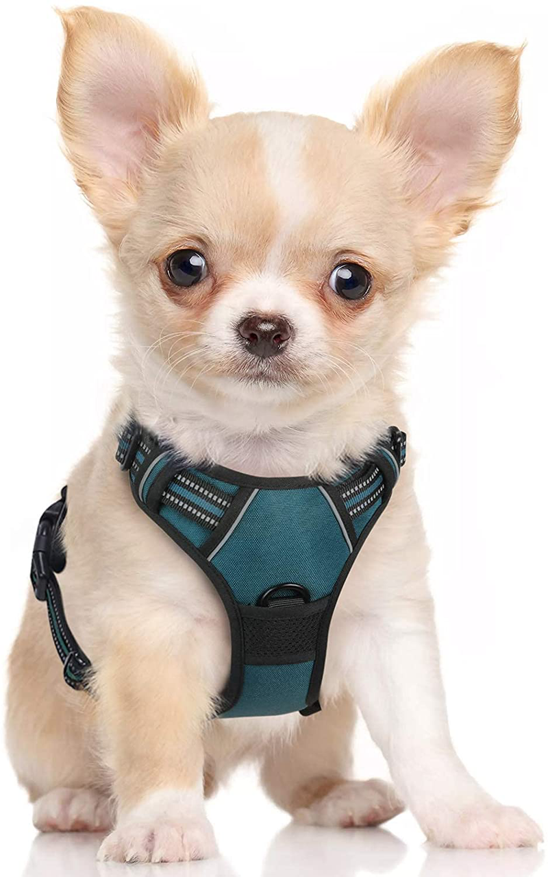 rabbitgoo Dog Harness, No-Pull Pet Harness with 2 Leash Clips, Adjustable Soft Padded Dog Vest, Reflective No-Choke Pet Oxford Vest with Easy Control Handle for Large Dogs, Black, XL  rabbitgoo Tranquil Teal Small 