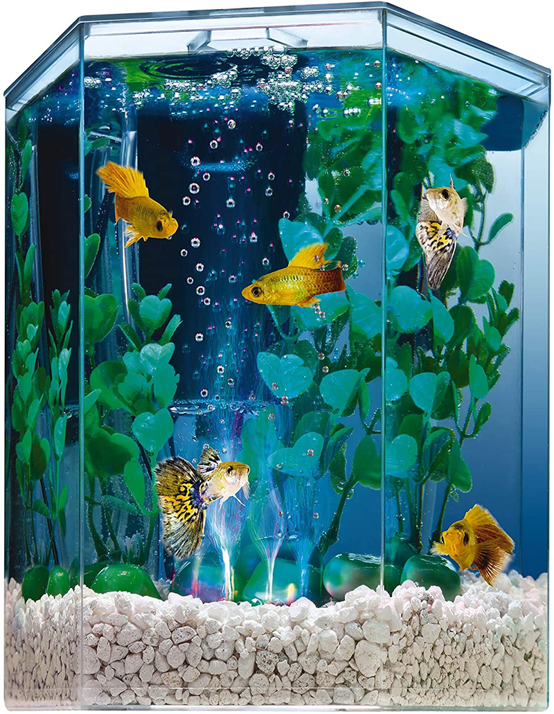 Tetra Bubbling LED Aquarium Kit 1 Gallon, Hexagon Shape, With Color-Changing Light Disc Animals & Pet Supplies > Pet Supplies > Fish Supplies > Aquariums Tetra Default Title  