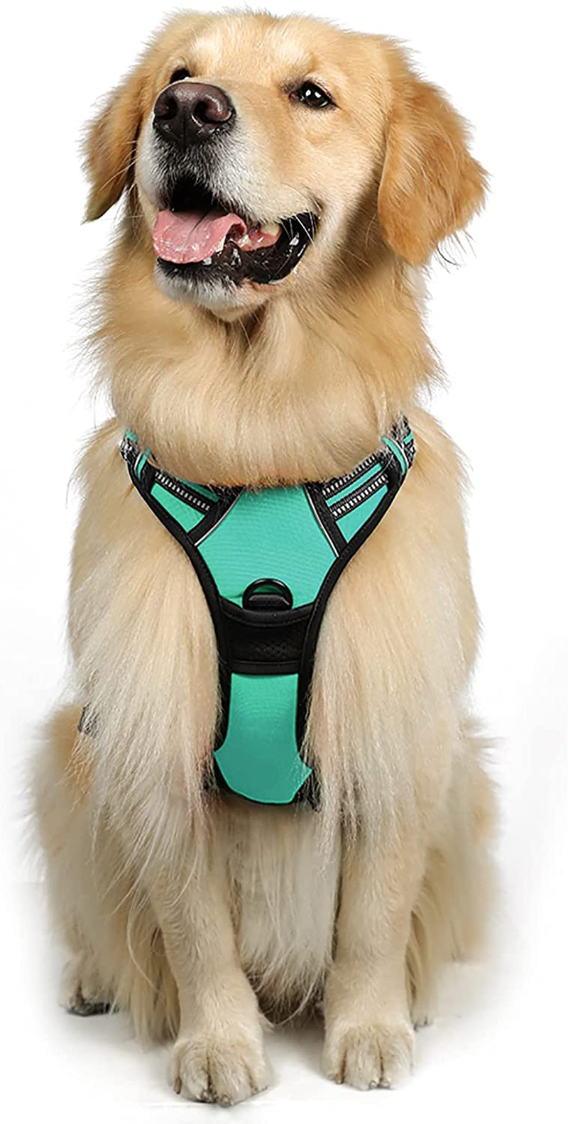 rabbitgoo Dog Harness, No-Pull Pet Harness with 2 Leash Clips, Adjustable Soft Padded Dog Vest, Reflective No-Choke Pet Oxford Vest with Easy Control Handle for Large Dogs, Black, XL  rabbitgoo Mint Green X-Large 