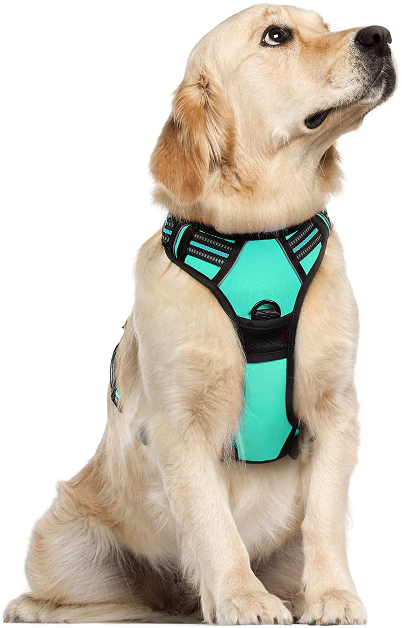 rabbitgoo Dog Harness, No-Pull Pet Harness with 2 Leash Clips, Adjustable Soft Padded Dog Vest, Reflective No-Choke Pet Oxford Vest with Easy Control Handle for Large Dogs, Black, XL  rabbitgoo Mint Green Large 