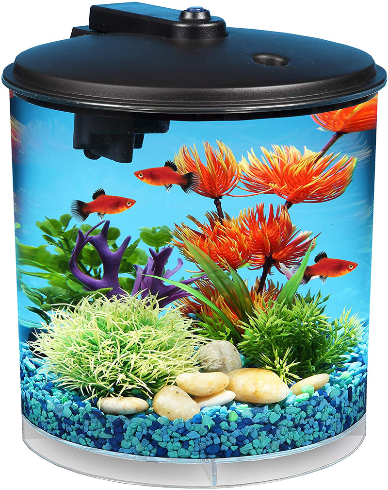 Koller Products AquaView 2-Gallon 360 Aquarium with Power Filter & LED Lighting Animals & Pet Supplies > Pet Supplies > Fish Supplies > Aquariums Tom (Tominaga/Oscar) Default Title  