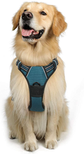 rabbitgoo Dog Harness, No-Pull Pet Harness with 2 Leash Clips, Adjustable Soft Padded Dog Vest, Reflective No-Choke Pet Oxford Vest with Easy Control Handle for Large Dogs, Black, XL  rabbitgoo Tranquil Teal X-Large 