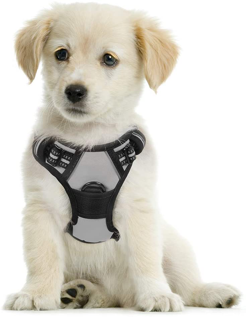 rabbitgoo Dog Harness, No-Pull Pet Harness with 2 Leash Clips, Adjustable Soft Padded Dog Vest, Reflective No-Choke Pet Oxford Vest with Easy Control Handle for Large Dogs, Black, XL  rabbitgoo Light Gray Small 