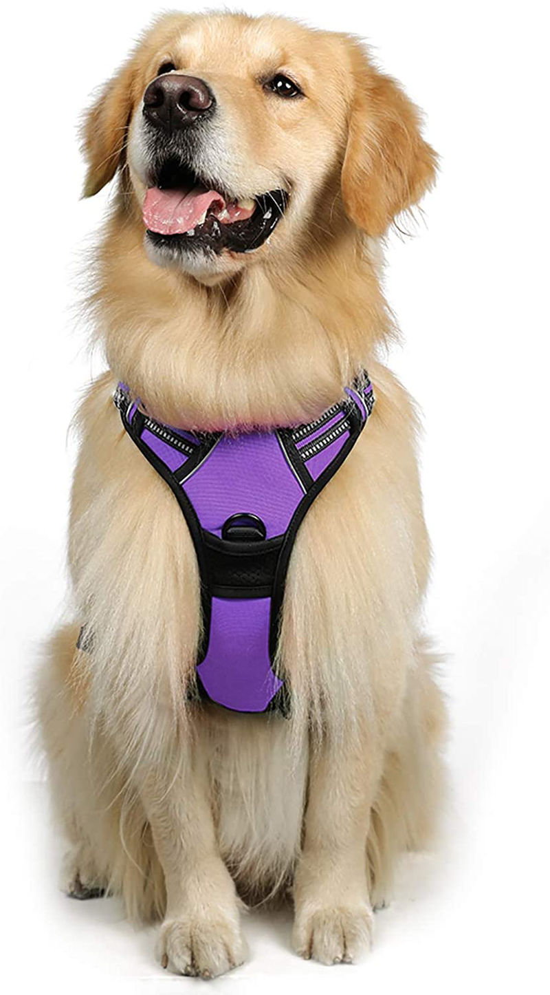 rabbitgoo Dog Harness, No-Pull Pet Harness with 2 Leash Clips, Adjustable Soft Padded Dog Vest, Reflective No-Choke Pet Oxford Vest with Easy Control Handle for Large Dogs, Black, XL  rabbitgoo Modern Violet Large 