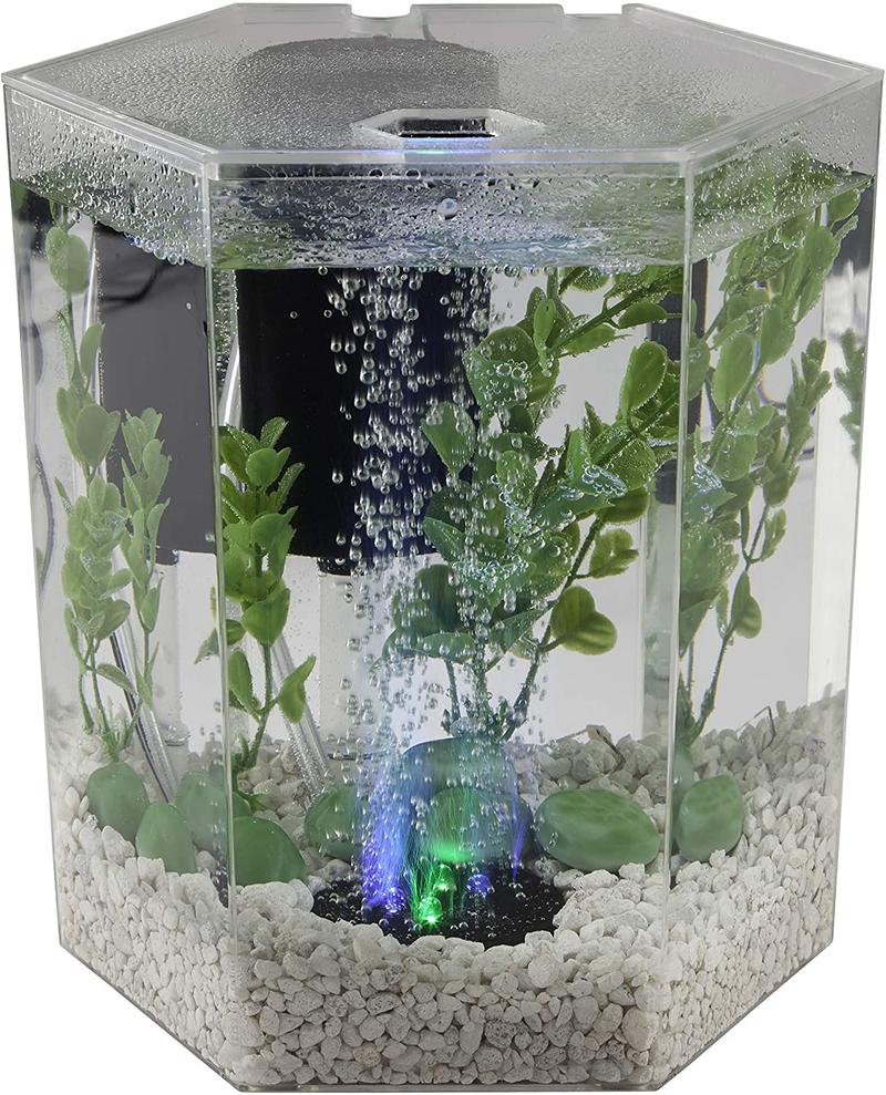 Tetra Bubbling LED Aquarium Kit 1 Gallon, Hexagon Shape, With Color-Changing Light Disc Animals & Pet Supplies > Pet Supplies > Fish Supplies > Aquariums Tetra   