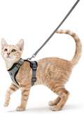 rabbitgoo Cat Harness and Leash for Walking, Escape Proof Soft Adjustable Vest Harnesses for Cats, Easy Control Breathable Jacket, Black, XS Animals & Pet Supplies > Pet Supplies > Cat Supplies > Cat Apparel GLOBEGOU CO.,LTD Grey S 