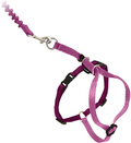 PetSafe Come With Me Kitty Harness and Bungee Leash, Harness for Cats Animals & Pet Supplies > Pet Supplies > Cat Supplies > Cat Apparel PetSafe DUSTY ROSE/BURGUNDY Medium (Pack of 1) 