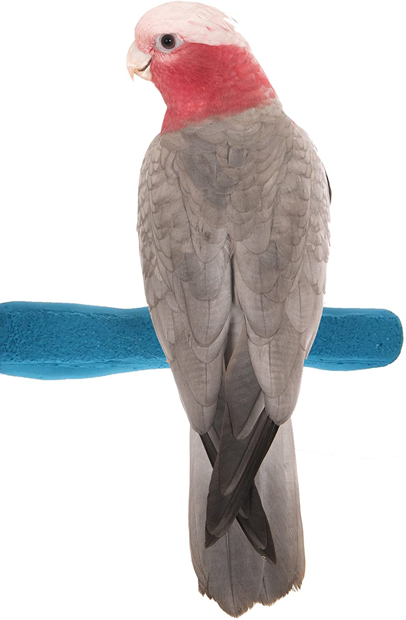 Sweet Feet and Beak Comfort Grip Safety Perch for Bird Cages - Patented Pumice Perch for Birds to Keep Nails and Beaks in Top Condition - Safe Easy to Install Bird Cage Accessories Animals & Pet Supplies > Pet Supplies > Bird Supplies Sweet Feet and Beak Blue Medium 8.5" 