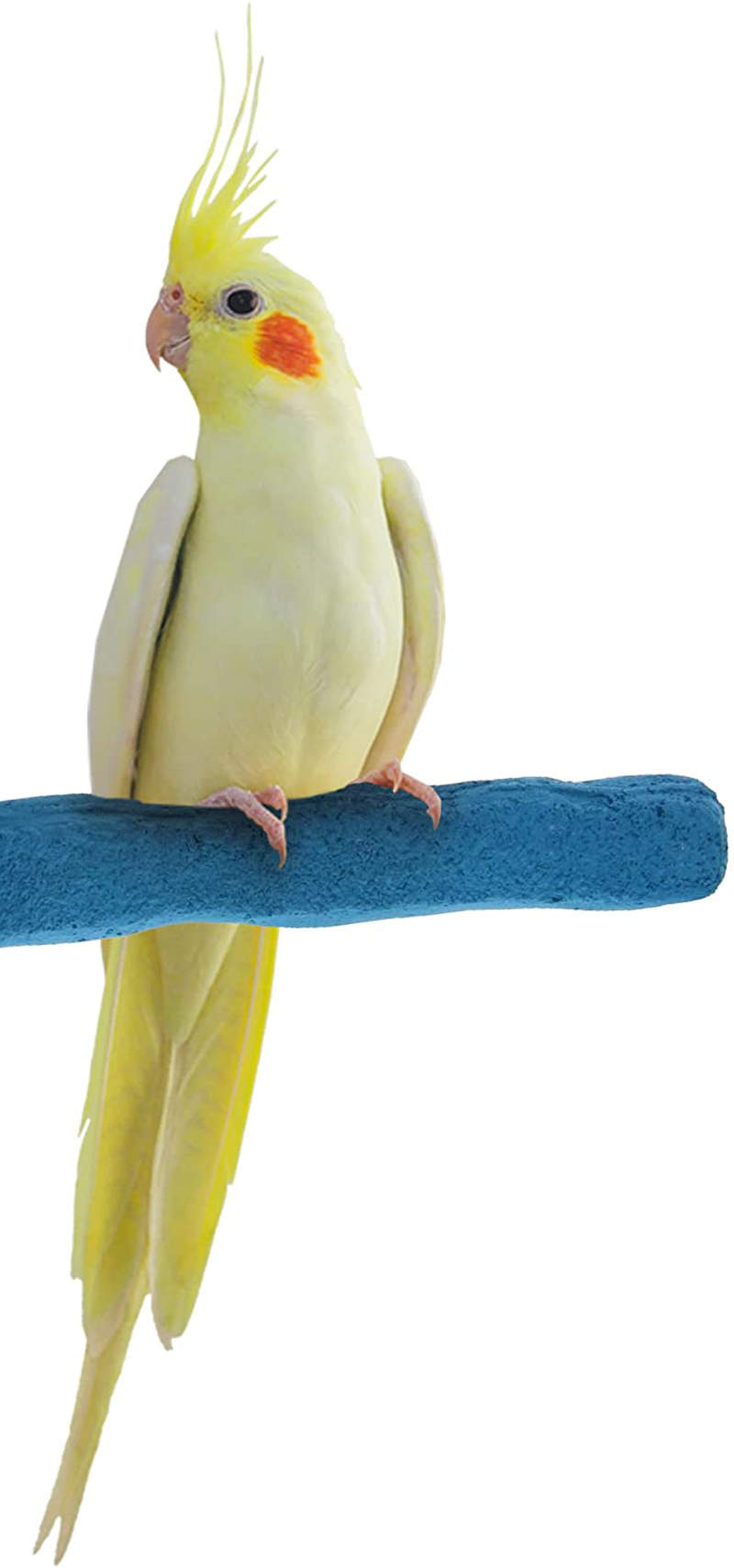 Sweet Feet and Beak Comfort Grip Safety Perch for Bird Cages - Patented Pumice Perch for Birds to Keep Nails and Beaks in Top Condition - Safe Easy to Install Bird Cage Accessories Animals & Pet Supplies > Pet Supplies > Bird Supplies Sweet Feet and Beak Blue Small (Pack of 1) 