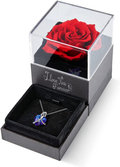 Eleshow Preserved Real Rose with I Love You Heart Crystal Necklace, Enchanted Rose Gifts for Her Girlfriend Wife Mom on Valentine'S Day Mothers Day Christmas Anniversary Birthday Gifts for Women Home & Garden > Decor > Seasonal & Holiday Decorations EleShow B-redrose  