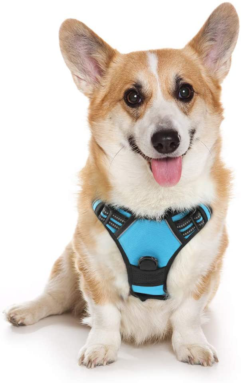 rabbitgoo Dog Harness, No-Pull Pet Harness with 2 Leash Clips, Adjustable Soft Padded Dog Vest, Reflective No-Choke Pet Oxford Vest with Easy Control Handle for Large Dogs, Black, XL  rabbitgoo Baby Blue Medium 