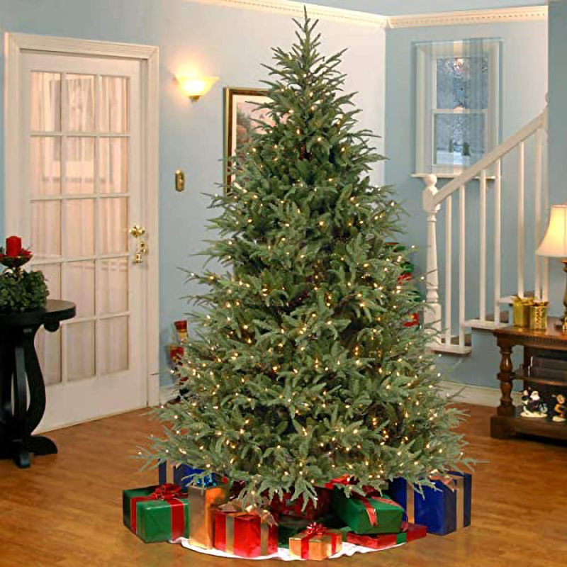 National Tree Company 'Feel Real' Pre-lit Artificial Christmas Tree | Includes Pre-strung White Lights | Frasier Grande Tree - 7.5 ft Home & Garden > Decor > Seasonal & Holiday Decorations > Christmas Tree Stands National Tree Company   