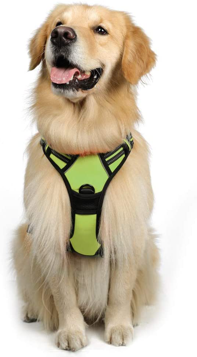 rabbitgoo Dog Harness, No-Pull Pet Harness with 2 Leash Clips, Adjustable Soft Padded Dog Vest, Reflective No-Choke Pet Oxford Vest with Easy Control Handle for Large Dogs, Black, XL  rabbitgoo Vibrant Lime X-Large 