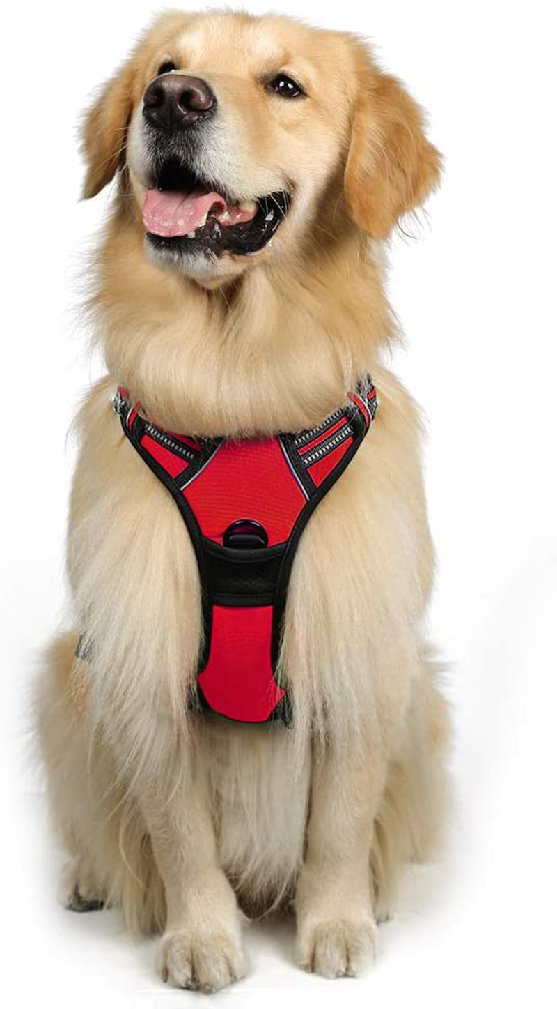 rabbitgoo Dog Harness, No-Pull Pet Harness with 2 Leash Clips, Adjustable Soft Padded Dog Vest, Reflective No-Choke Pet Oxford Vest with Easy Control Handle for Large Dogs, Black, XL  rabbitgoo Passion Red Large 