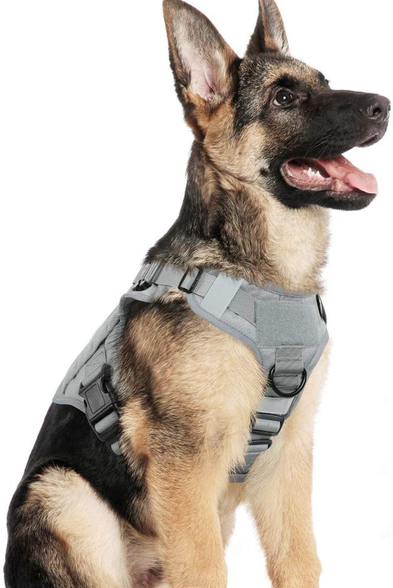 rabbitgoo Tactical Dog Harness for Large Dogs, Military Dog Harness with Handle, No-Pull Service Dog Vest with Molle & Loop Panels, Adjustable Dog Vest Harness for Training Hunting Walking, Tan, XL Animals & Pet Supplies > Pet Supplies > Dog Supplies GLOBEGOU CO.,LTD Grey Large 