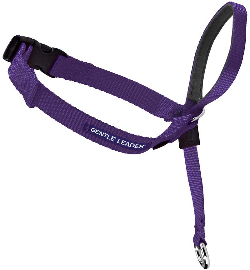 PetSafe Gentle Leader Headcollar, No-Pull Dog Collar – Perfect for Leash & Harness Training Animals & Pet Supplies > Pet Supplies > Dog Supplies PetSafe Deep Purple Small Up to 25 Lb. 
