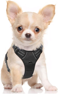 rabbitgoo Dog Harness, No-Pull Pet Harness with 2 Leash Clips, Adjustable Soft Padded Dog Vest, Reflective No-Choke Pet Oxford Vest with Easy Control Handle for Large Dogs, Black, XL  rabbitgoo Classic Black Small 