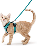 rabbitgoo Cat Harness and Leash for Walking, Escape Proof Soft Adjustable Vest Harnesses for Cats, Easy Control Breathable Jacket, Black, XS Animals & Pet Supplies > Pet Supplies > Cat Supplies > Cat Apparel GLOBEGOU CO.,LTD Emerald XS 