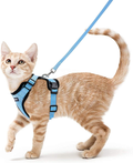 rabbitgoo Cat Harness and Leash for Walking, Escape Proof Soft Adjustable Vest Harnesses for Cats, Easy Control Breathable Jacket, Black, XS Animals & Pet Supplies > Pet Supplies > Cat Supplies > Cat Apparel GLOBEGOU CO.,LTD Light Blue XS 