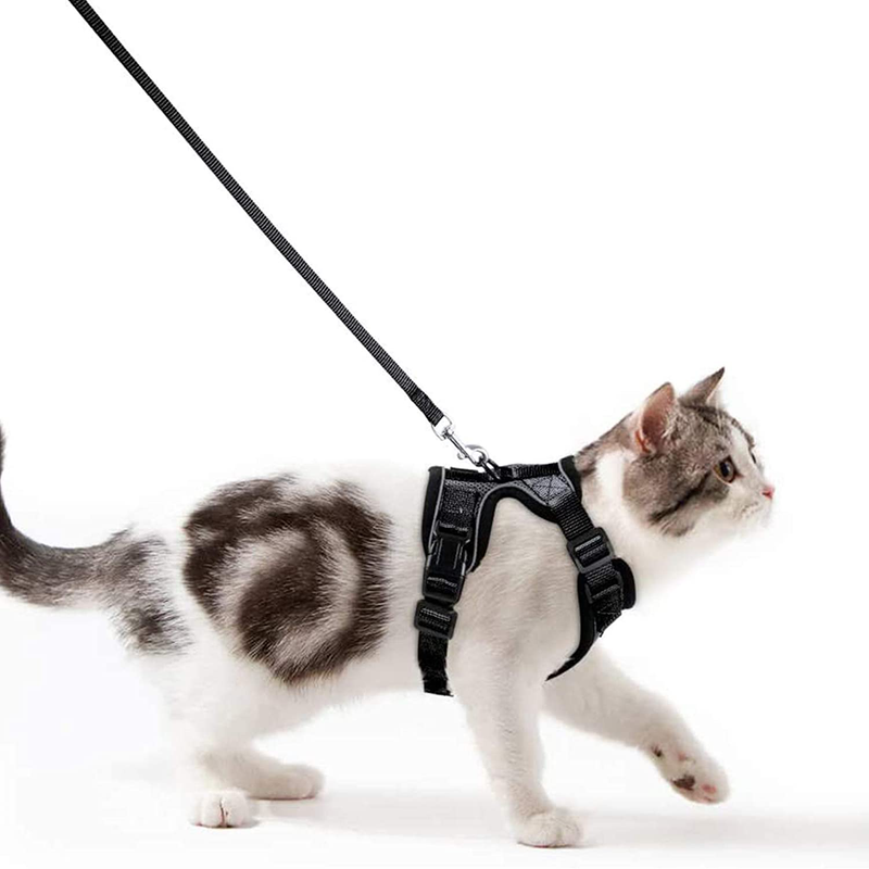 rabbitgoo Cat Harness and Leash for Walking, Escape Proof Soft Adjustable Vest Harnesses for Cats, Easy Control Breathable Jacket, Black, XS Animals & Pet Supplies > Pet Supplies > Cat Supplies > Cat Apparel GLOBEGOU CO.,LTD   