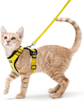 rabbitgoo Cat Harness and Leash for Walking, Escape Proof Soft Adjustable Vest Harnesses for Cats, Easy Control Breathable Jacket, Black, XS Animals & Pet Supplies > Pet Supplies > Cat Supplies > Cat Apparel GLOBEGOU CO.,LTD Yellow XS 
