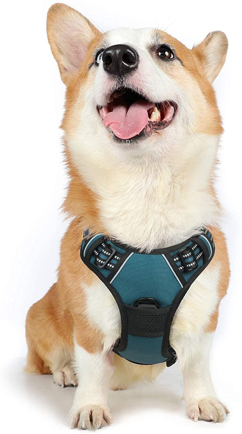 rabbitgoo Dog Harness, No-Pull Pet Harness with 2 Leash Clips, Adjustable Soft Padded Dog Vest, Reflective No-Choke Pet Oxford Vest with Easy Control Handle for Large Dogs, Black, XL  rabbitgoo Tranquil Teal Medium 