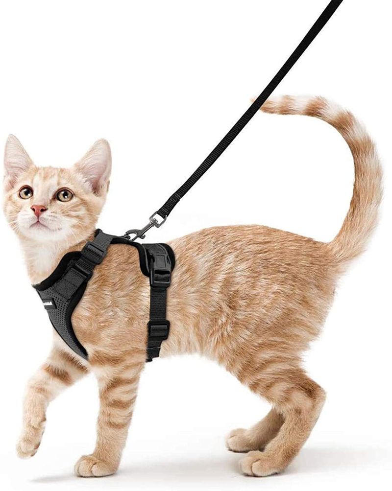 rabbitgoo Cat Harness and Leash for Walking, Escape Proof Soft Adjustable Vest Harnesses for Cats, Easy Control Breathable Jacket, Black, XS Animals & Pet Supplies > Pet Supplies > Cat Supplies > Cat Apparel GLOBEGOU CO.,LTD Black XS 