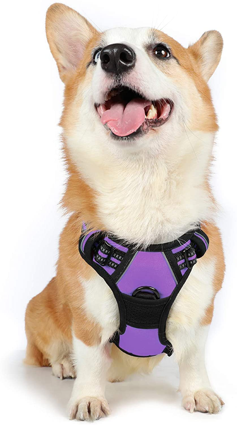 rabbitgoo Dog Harness, No-Pull Pet Harness with 2 Leash Clips, Adjustable Soft Padded Dog Vest, Reflective No-Choke Pet Oxford Vest with Easy Control Handle for Large Dogs, Black, XL  rabbitgoo Modern Violet Medium 