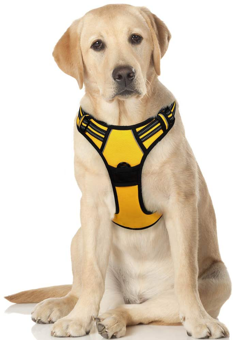 rabbitgoo Dog Harness, No-Pull Pet Harness with 2 Leash Clips, Adjustable Soft Padded Dog Vest, Reflective No-Choke Pet Oxford Vest with Easy Control Handle for Large Dogs, Black, XL  rabbitgoo Lemon Yellow X-Large 