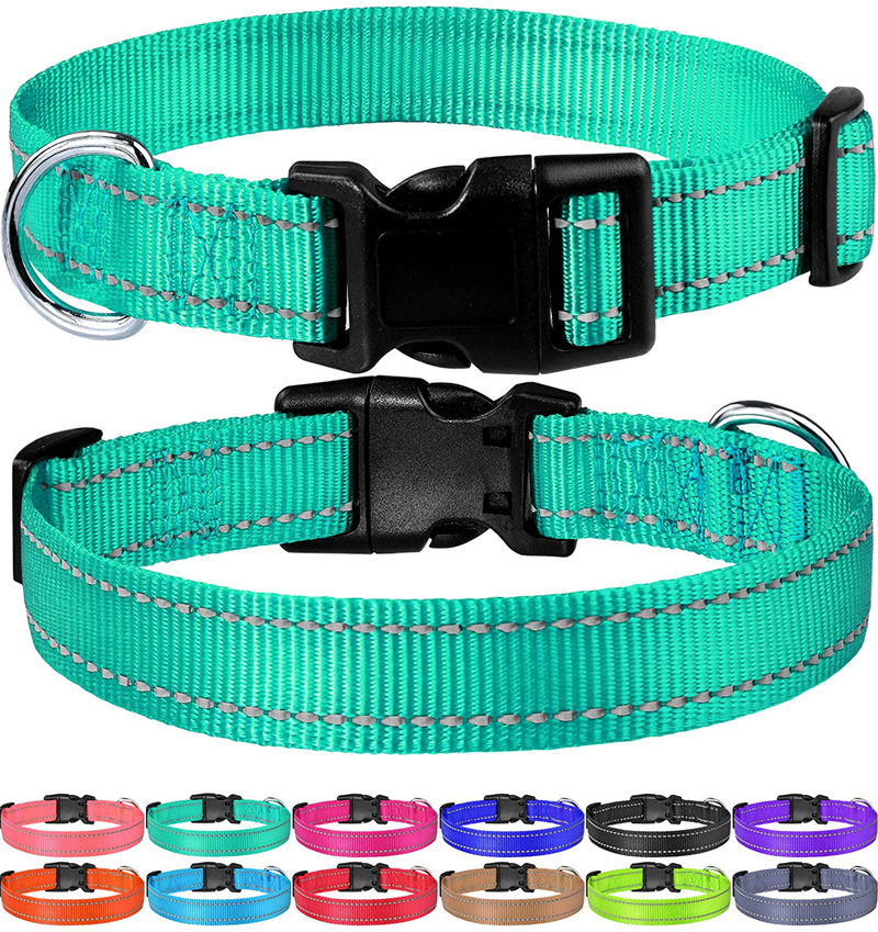 FunTags Reflective Nylon Dog Collar,Adjustable Pet Collars with Quick Release Buckle for Puppy Small Medium Large Dogs,18 Classic Solid Colors,4 Sizes Animals & Pet Supplies > Pet Supplies > Dog Supplies FunTags Turquoise L - 1.0"x(16"-24") 