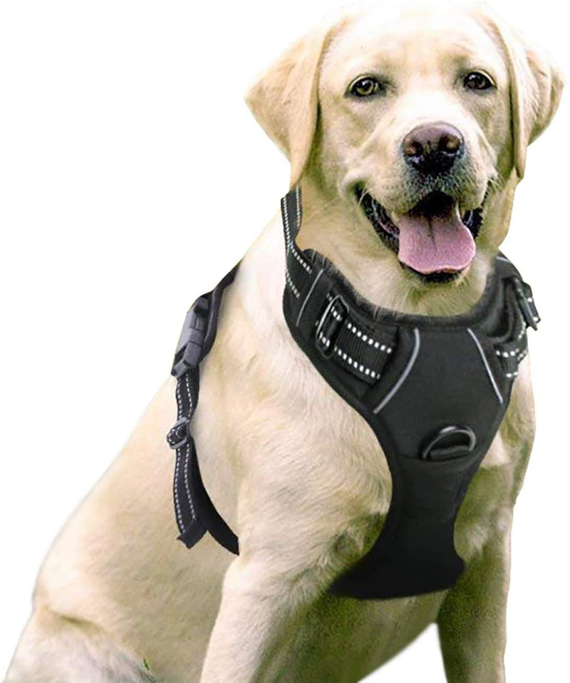 rabbitgoo Dog Harness, No-Pull Pet Harness with 2 Leash Clips, Adjustable Soft Padded Dog Vest, Reflective No-Choke Pet Oxford Vest with Easy Control Handle for Large Dogs, Black, XL  rabbitgoo Classic Black Large 