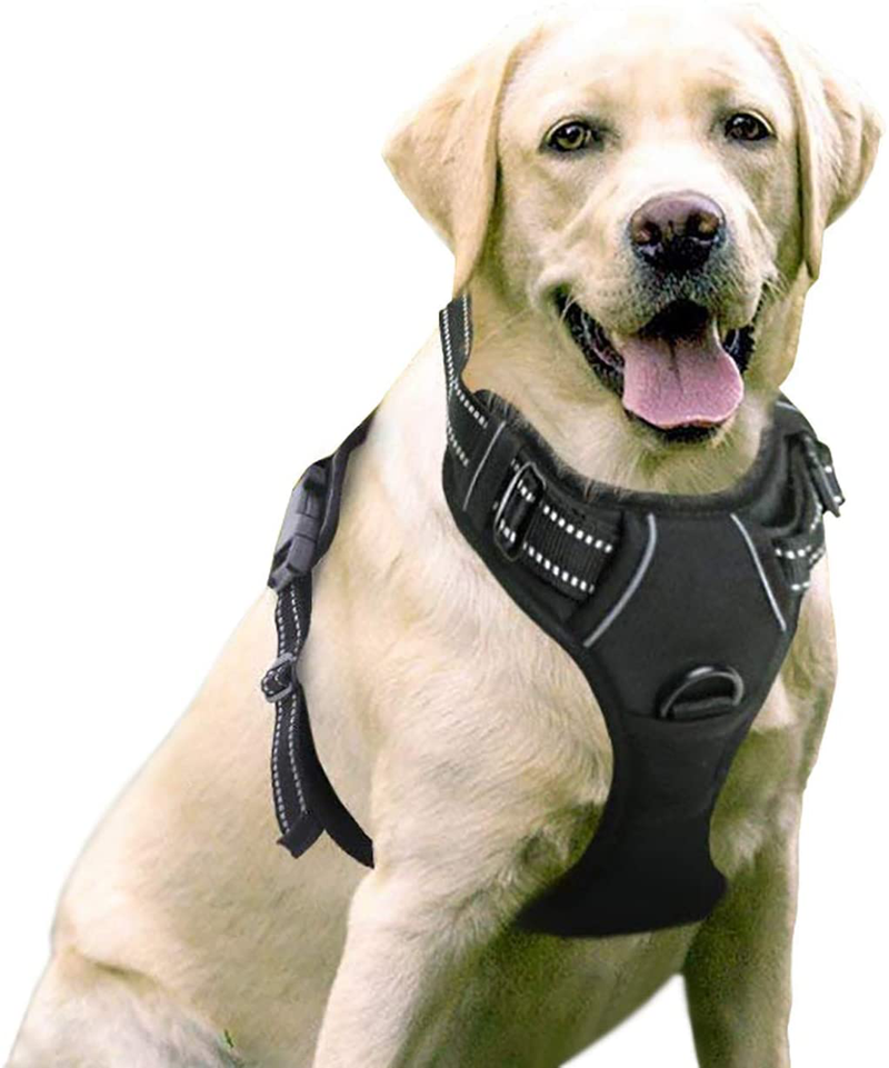 rabbitgoo Dog Harness, No-Pull Pet Harness with 2 Leash Clips, Adjustable Soft Padded Dog Vest, Reflective No-Choke Pet Oxford Vest with Easy Control Handle for Large Dogs, Black, XL  rabbitgoo Classic Black X-Large 