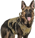 rabbitgoo Tactical Dog Harness for Large Dogs, Military Dog Harness with Handle, No-Pull Service Dog Vest with Molle & Loop Panels, Adjustable Dog Vest Harness for Training Hunting Walking, Tan, XL Animals & Pet Supplies > Pet Supplies > Dog Supplies GLOBEGOU CO.,LTD Tan X-Large 