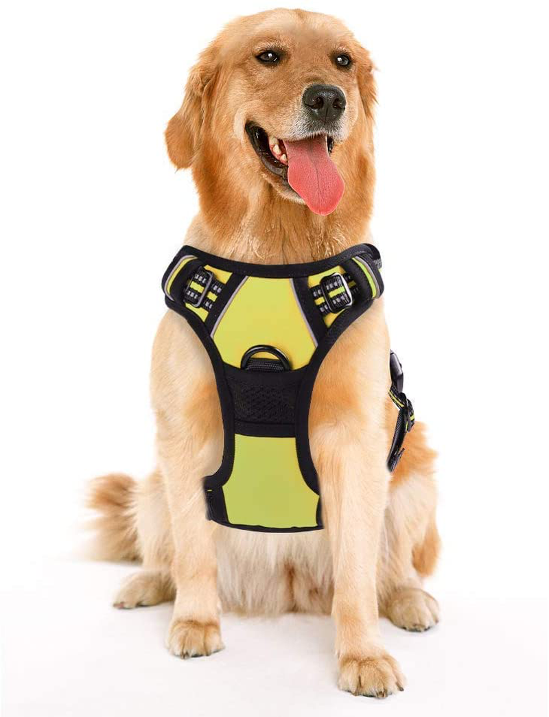 rabbitgoo Dog Harness, No-Pull Pet Harness with 2 Leash Clips, Adjustable Soft Padded Dog Vest, Reflective No-Choke Pet Oxford Vest with Easy Control Handle for Large Dogs, Black, XL  rabbitgoo Vibrant Lime Small 