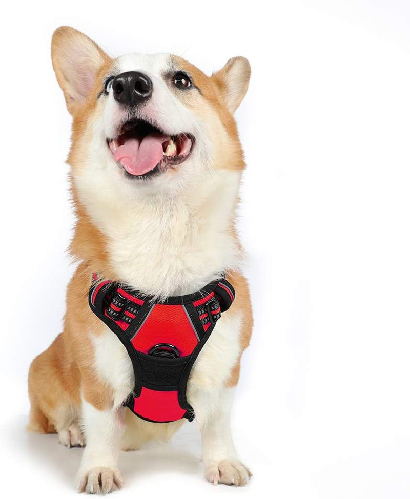 rabbitgoo Dog Harness, No-Pull Pet Harness with 2 Leash Clips, Adjustable Soft Padded Dog Vest, Reflective No-Choke Pet Oxford Vest with Easy Control Handle for Large Dogs, Black, XL  rabbitgoo Passion Red Medium 